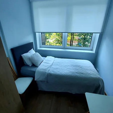 Pepleri 34 Mini * 타르투